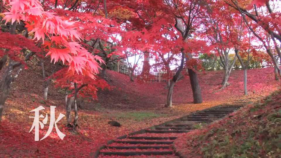 弘前公園の紅葉