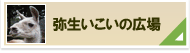 弥生いこいの広場