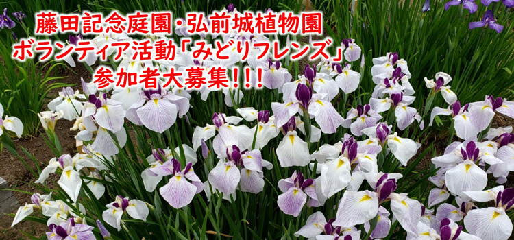 ボランティア活動「みどりフレンズ」
