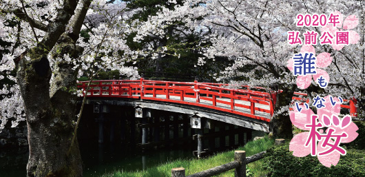 弘前公園桜写真