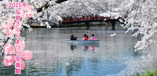 2025年弘前さくらまつり写真館