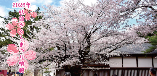 2026年弘前公園桜情報