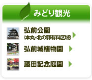 みどり観光