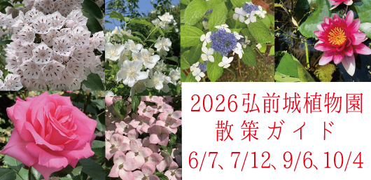 2026年植物園散策ガイド