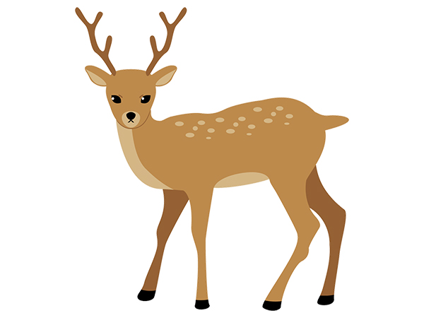 シカ画像