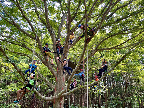 木登り体験画像